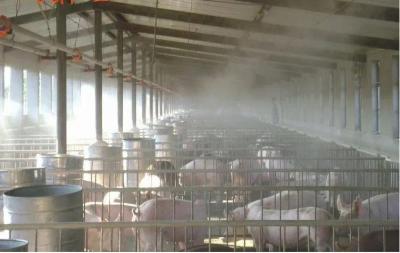 次氯酸消毒液發生器