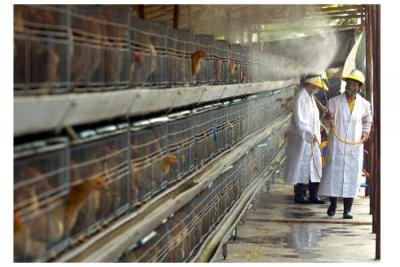 次氯酸消毒液發(fā)生器