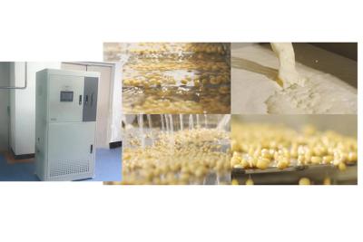 次氯酸發生器在豆制品上的應用