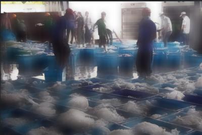 次氯酸在水產(chǎn)儲存的應(yīng)用