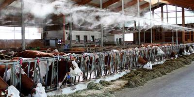 次氯酸發生器配套霧化系統，實現全自動消毒