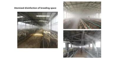 次氯酸在車輛消毒中的應用