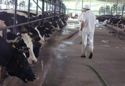 養(yǎng)殖場(chǎng)次氯酸應(yīng)用