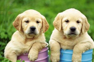 次氯酸的除臭應(yīng)用