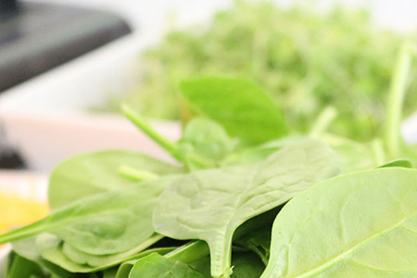 怎樣使作物綠色無污染，次氯酸做到了