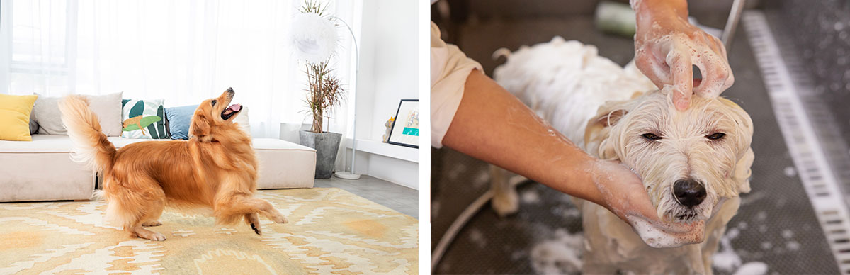 次氯酸發(fā)生器設備