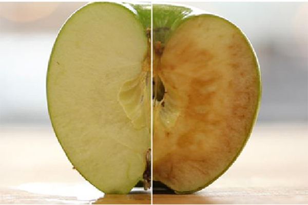 1644455398966032.png 641 (1).png