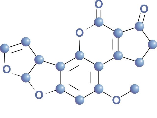 1644458540980627.jpg 641.jpg