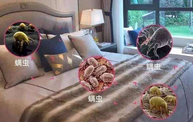 1644458903290104.png 微信圖片_20220210100804.png