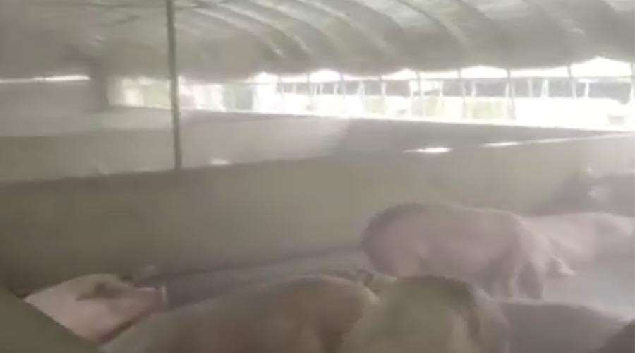 1661743849160325.jpg 1111.jpg