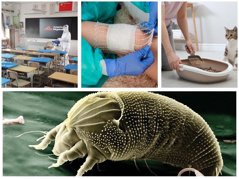 次氯酸的六大功能你知道幾個-盛懷次氯酸發生器 次氯酸的六大功能你知道幾個-盛懷次氯酸發生器