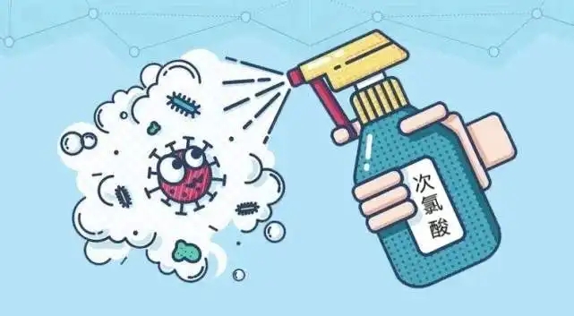 1673504712719335.jpg 55.webp.jpg