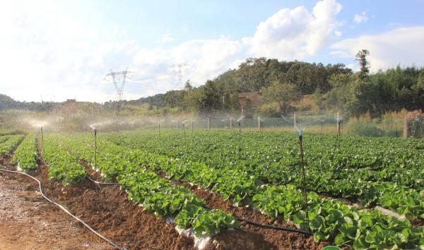 次氯酸農(nóng)業(yè)種植 次氯酸農(nóng)業(yè)種植