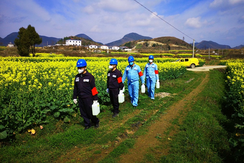 次氯酸農作物消毒 次氯酸農作物消毒