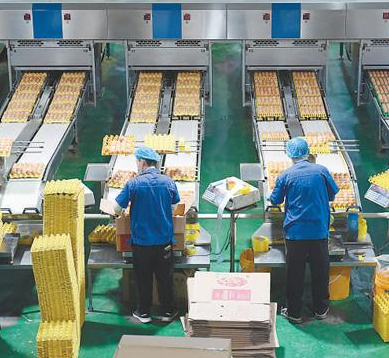 食品加工業 食品加工業