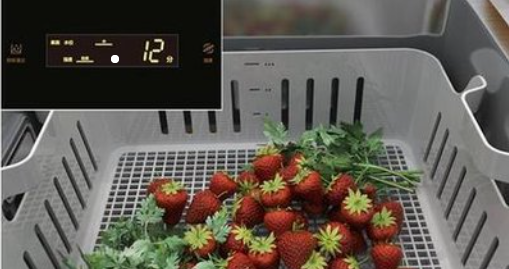 次氯酸水可用來(lái)清洗水果