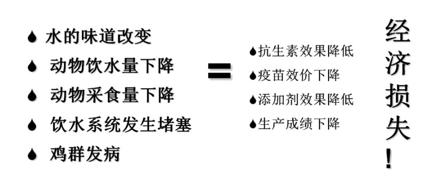 如何改善雞群飲水系統(tǒng) 如何改善雞群飲水系統(tǒng)