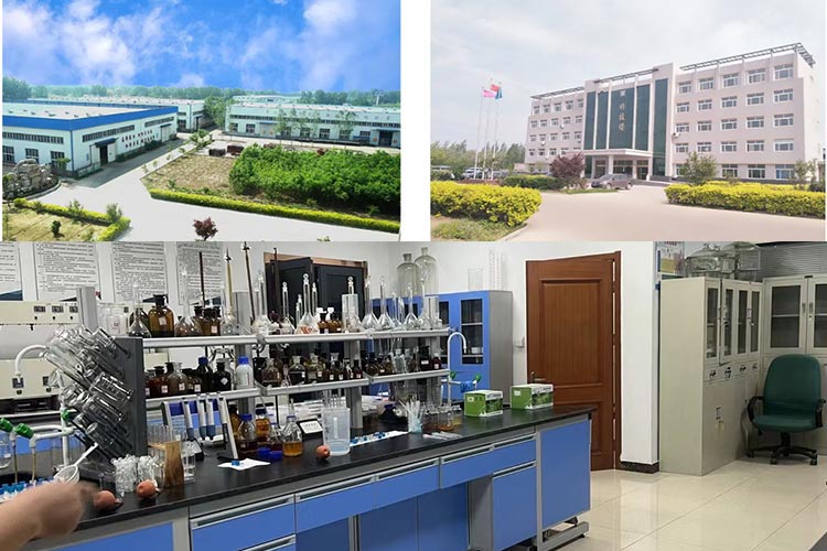 次氯酸發(fā)生器廠家 次氯酸發(fā)生器廠家