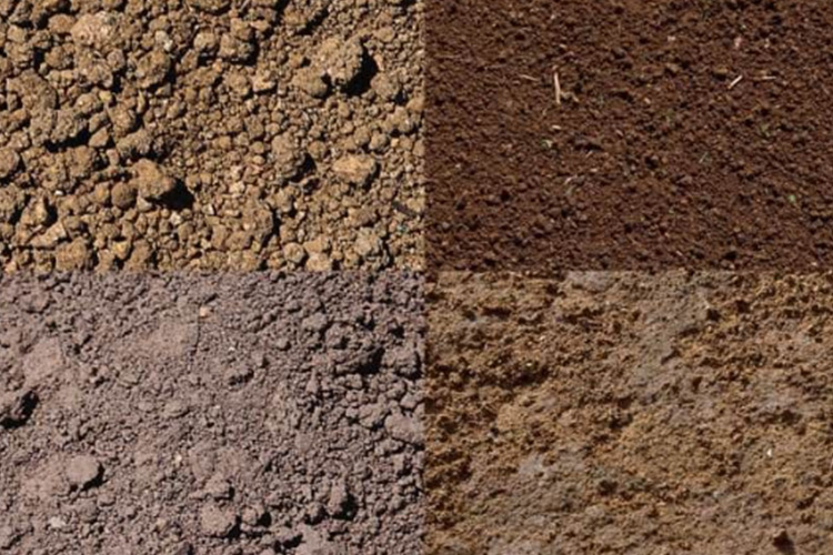 次氯酸發生器土壤調節 次氯酸發生器土壤調節